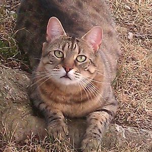 Meet your Posher, Maryellen